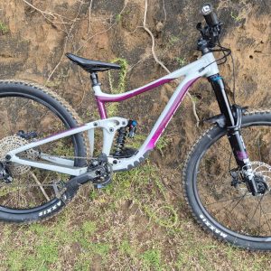 Giant Reign R29 SX 2021